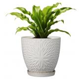 New 8 Inch Ceramic Plant Pot with Drainage Hole