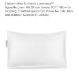 Hypoallergenic 20" x 28" Luxury SOFT Pillow w/