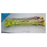 50 Pc Dried Flowers