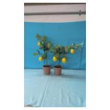 Pair of Faux Lemon  Trees in Terra Cotta Pots 18"