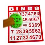 New Set of Bingo Cards and Chips.