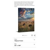 16" x 24" American Bison Canvas Wall Art, Sunset