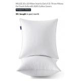 Set of 2 - 20" x 20" Throw Pillow Inserts,