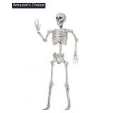 New 5.6 FT Posable Life Size Skeleton Full Body