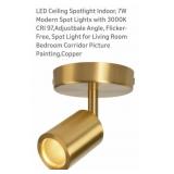 LED  Ceiling  Indoor Spotlight