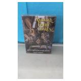 (New) Animal Fairy Tales...100 cards with animal