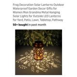 (New) Frog Solar Garden Lantern