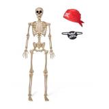 New 5 FT  Posable Skeleton , Full Body Moveable