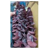 25PCS Dried Eucalyptus Stems for Vases, Green