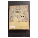 SteelBook Boyhood 1193/2000