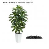 Artificial Dracaena Tree: 5FT  Silk Faux