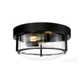 New Modern 2-Light Flush Mount Ceiling Light