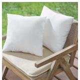 Set of 2 Pillow Inserts 16" x 16".