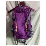 New purple backpack with built in laptop sleeve