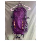 New purple backpack with built in laptop holder -