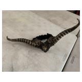 Cosplay headgear / antlers