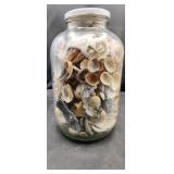 Large Jar of Seashells
