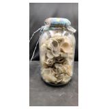 Large Jar full of Seashells