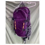 New purple backpack with built in laptop sleeve