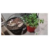 2 Planters. 1 with plant