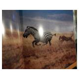 Animals of Africa - Thomas B Allen HB