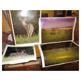 4 BUCK DEER PHOTOGRAPHS