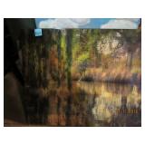 SWANS ON LAKE - PHOTO ON BOARD