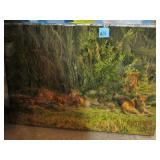 PACK OF LIONS PHOTO ON STYROFOAM SLAB