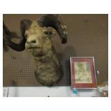 Large Mountain Ram Mount