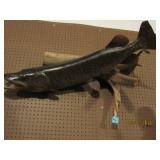 Northern Pike Mount (Reproduction)