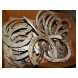 Box of Horseshoes (approx. 30)
