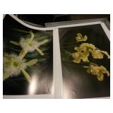 Collection of Photos - Approx. 50  Manlin Estate