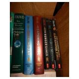 Book Lot - Hunger Games & More