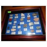 Rock Collection In Display Case