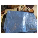 Blue Plastic Tarp & Pump Sprayer
