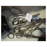 Lot of Scissors