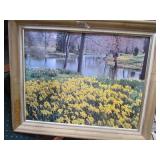 2 Framed Nature Pictures
