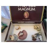 Seashell Magnets in Cigar Box