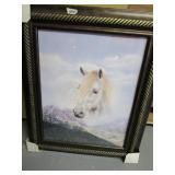 Horse Picture