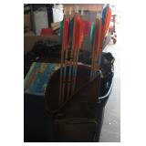 Assorted Arrows