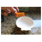 Otagiri Shell Dish