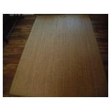 Sea Grass 5x8 Area Rug