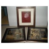 Framed Botanical Prints, 18x16