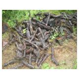 Seasoned Pear Wood Commonly Used For Smoking