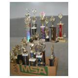 (25) ALDC Trophies   tallest 21 inches