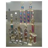 (15) ALDC Trophies   tallest 28 inches