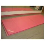 Resilite 4 ft x 12 ft Pink Dance Mat