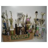 (16) ALDC Trophies   tallest 25 inches