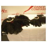(6) ALDC Dance Props