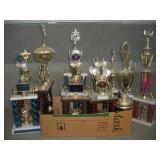 (14) ALDC Trophies   tallest 31 inches